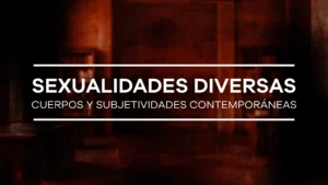 Módulo VI – Diplomado Universitario Internacional en Clínica de Pareja y Erotismo Relacional Sexualidades Diversas y Clínica Vincular
